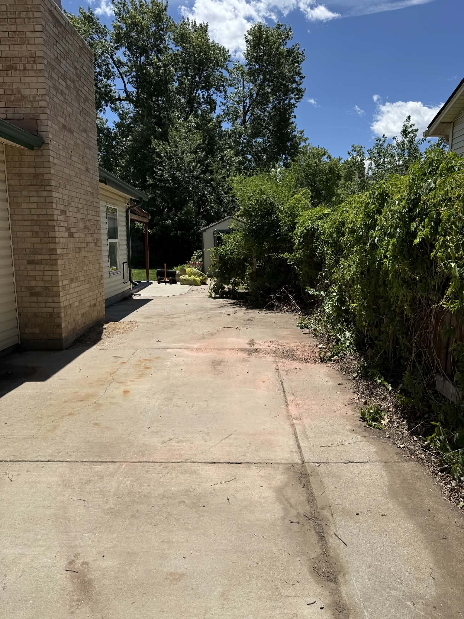 After: Side yard debris, cleared to clean concrete