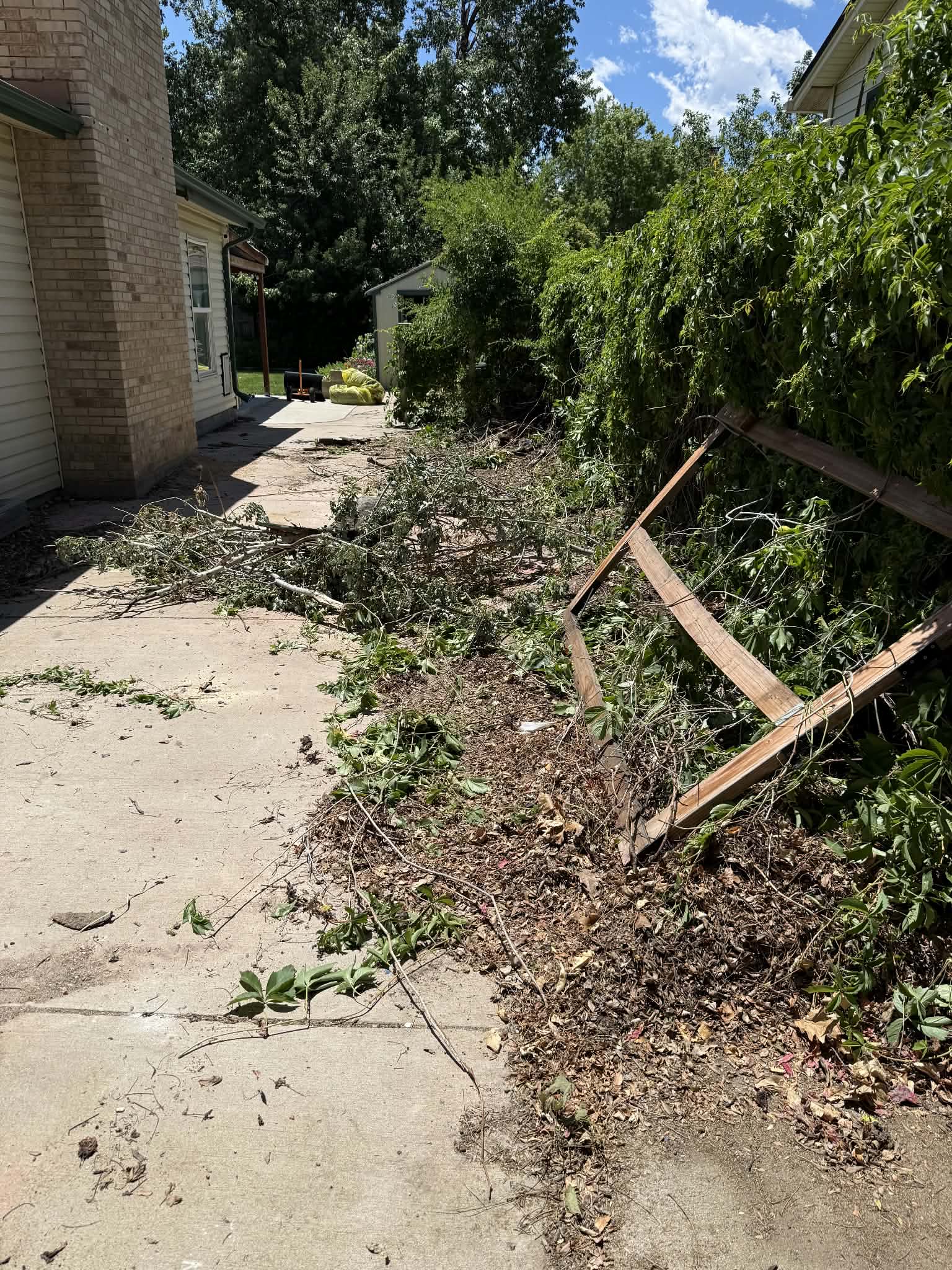 Before: Side yard debris, cleared to clean concrete